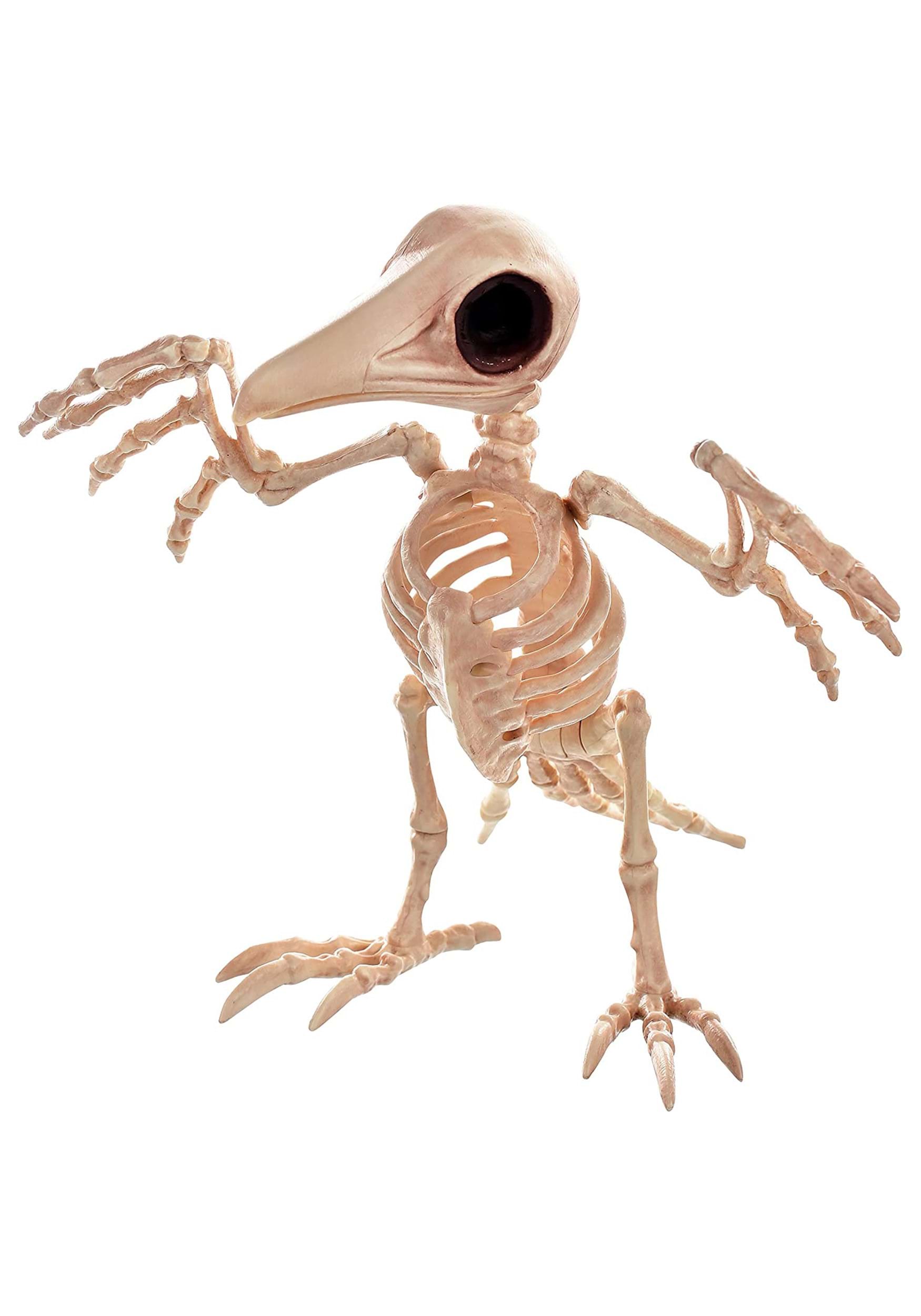 10.5″ Creepy Raven Skeleton Prop
