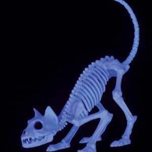 11" Black Light Ghostly Kitty Skeleton