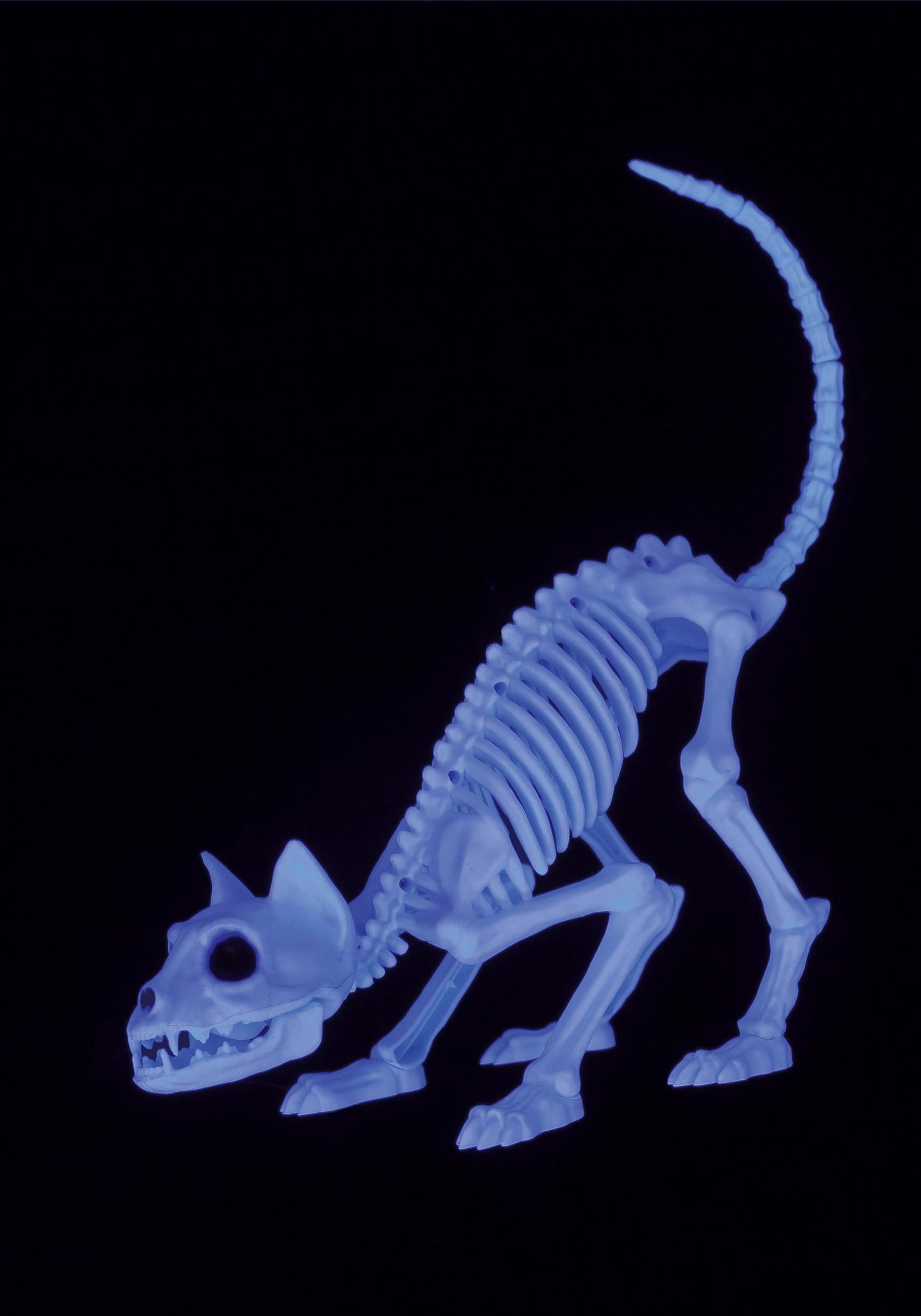 11″ Black Light Ghostly Kitty Skeleton