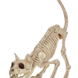 11" Lil' Kitty Skeleton Prop