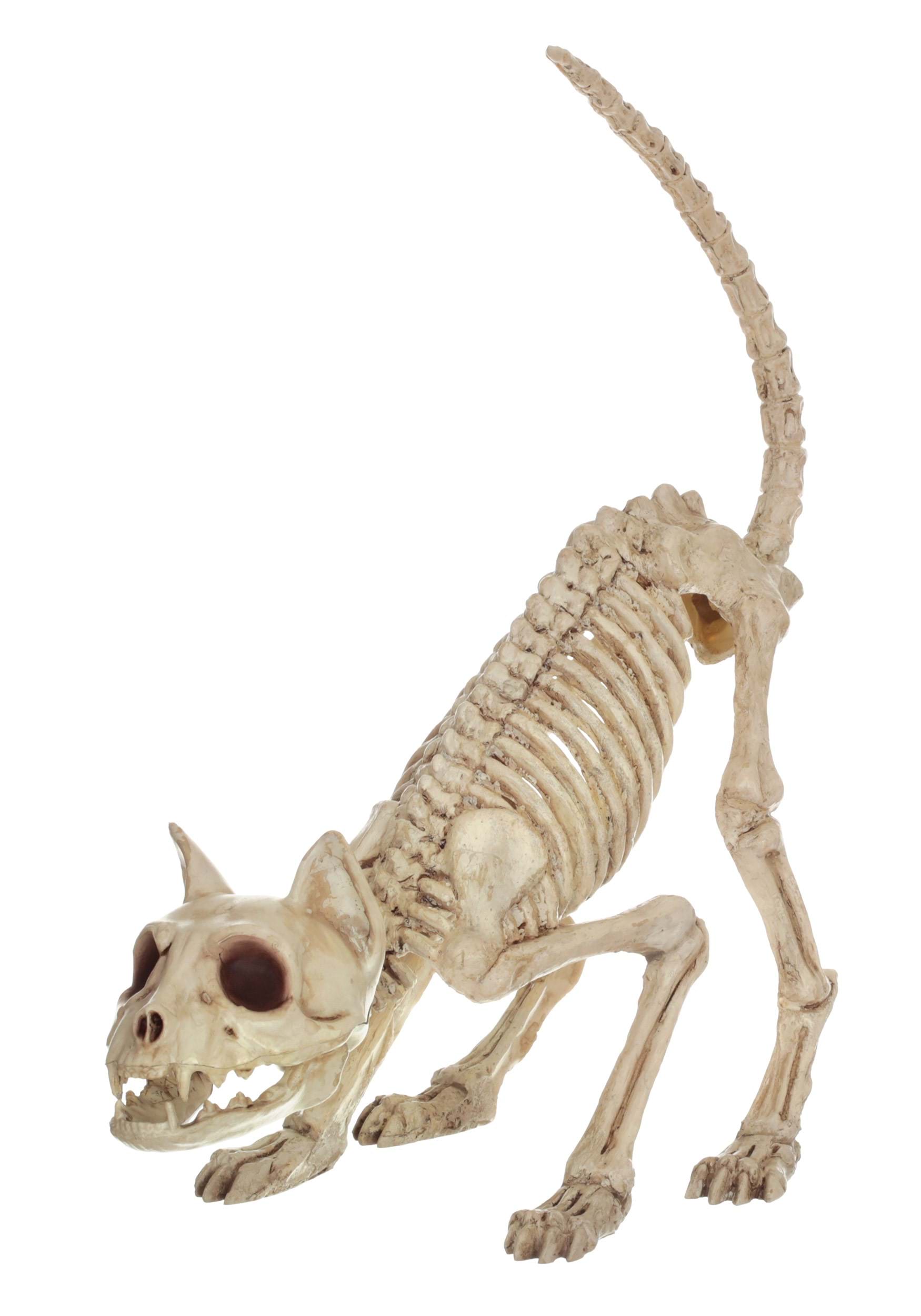 11″ Lil’ Kitty Skeleton Prop