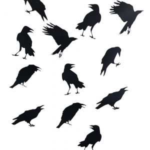 12" Crow Sticker 12 Piece Set