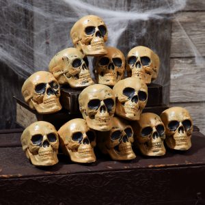 12 Piece Bag of Decorative Skull Props
