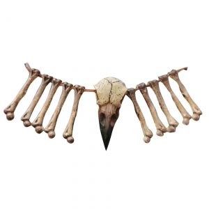 15" Bird Beak and Bones Necklace