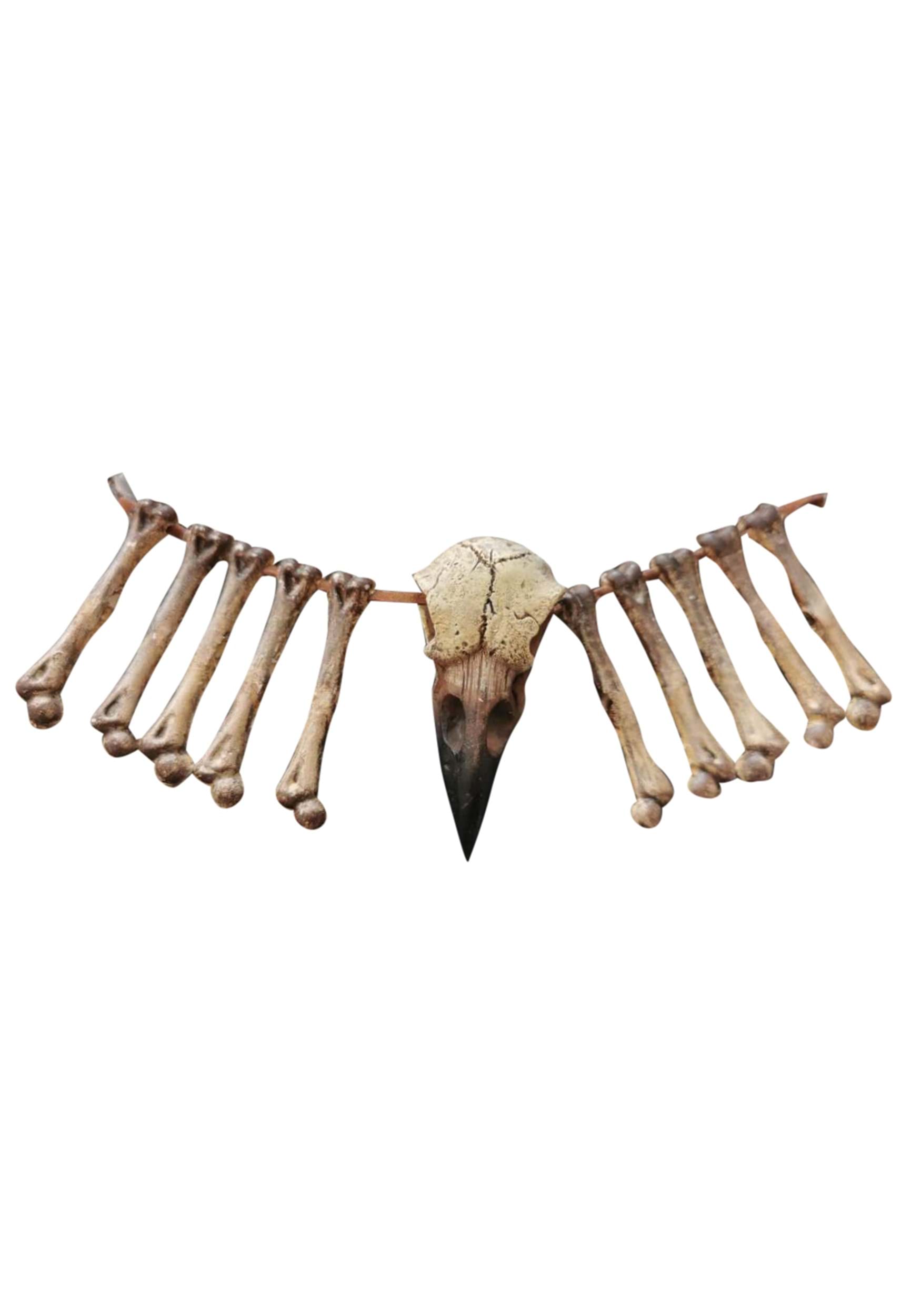 15″ Bird Beak and Bones Necklace