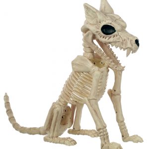 17.5" Wolf Skeleton Prop