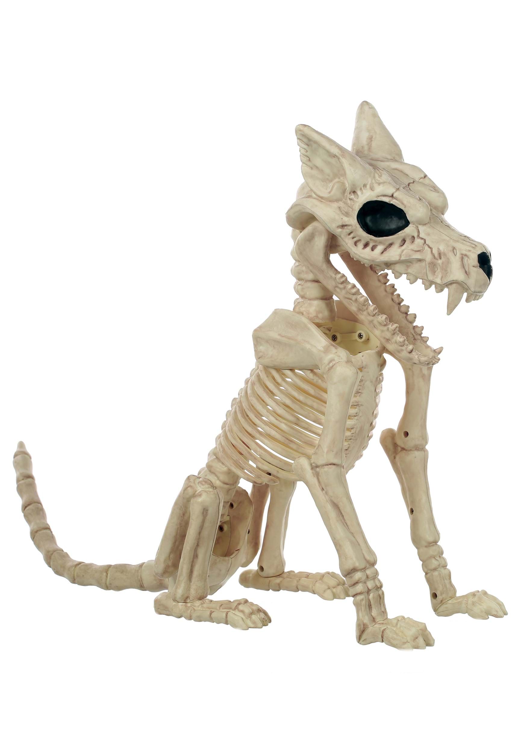 17.5″ Wolf Skeleton Prop