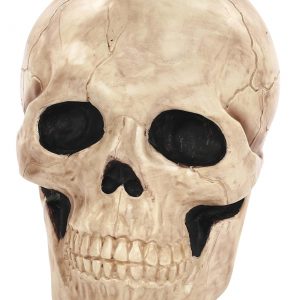 18.5 Inch Giant Skull Prop