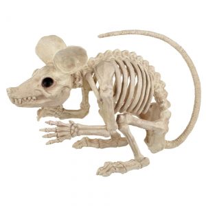 19" Attack Rat Skeleton Prop