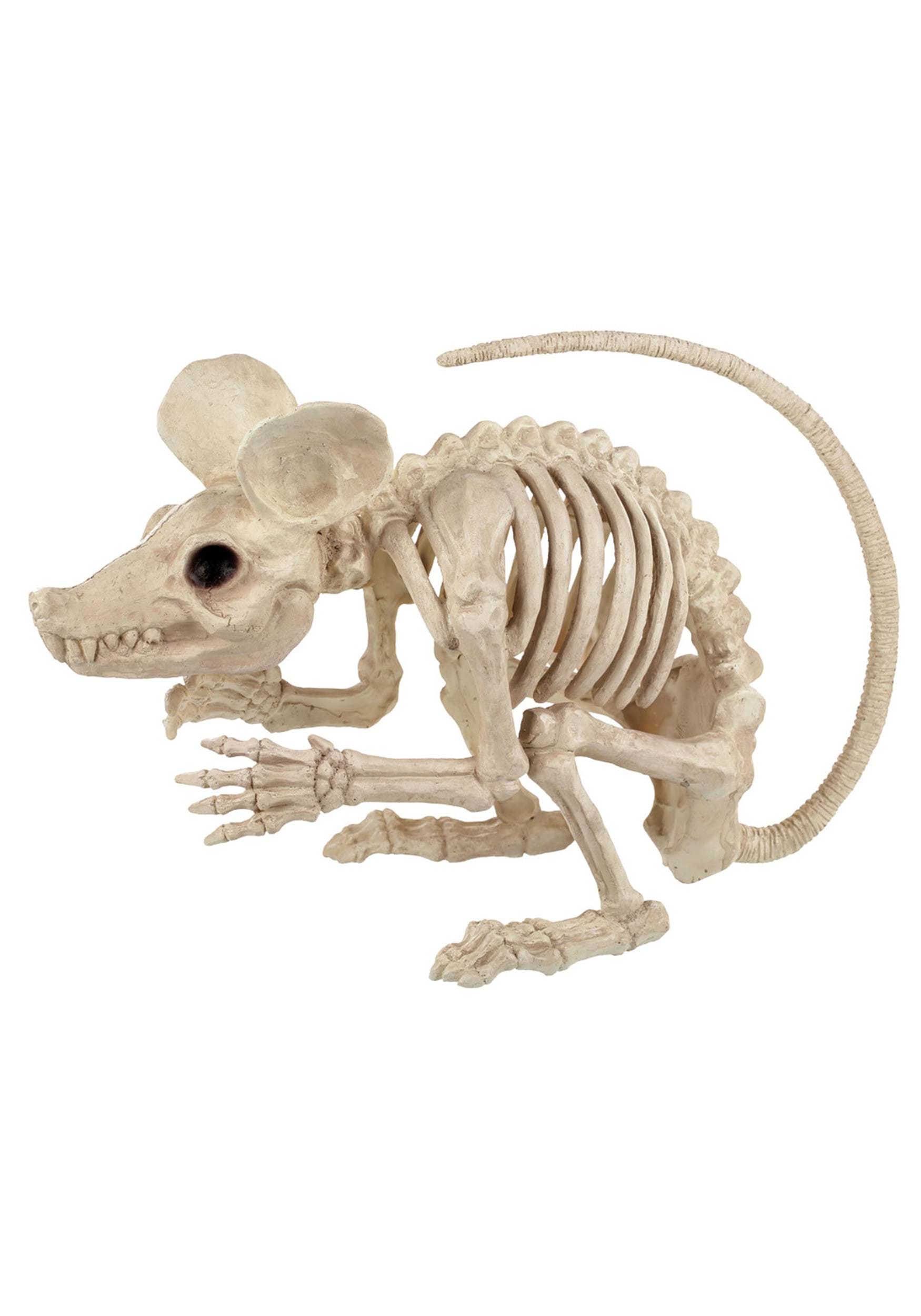 19″ Attack Rat Skeleton Prop
