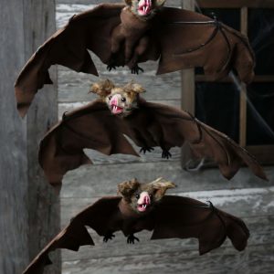 3 Pack Brown Bat Props