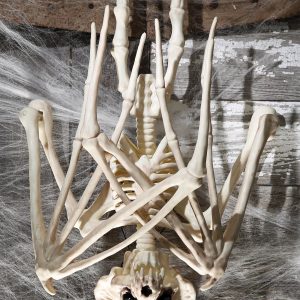 36'' Nocturnal Bat Skeleton Halloween Decoration