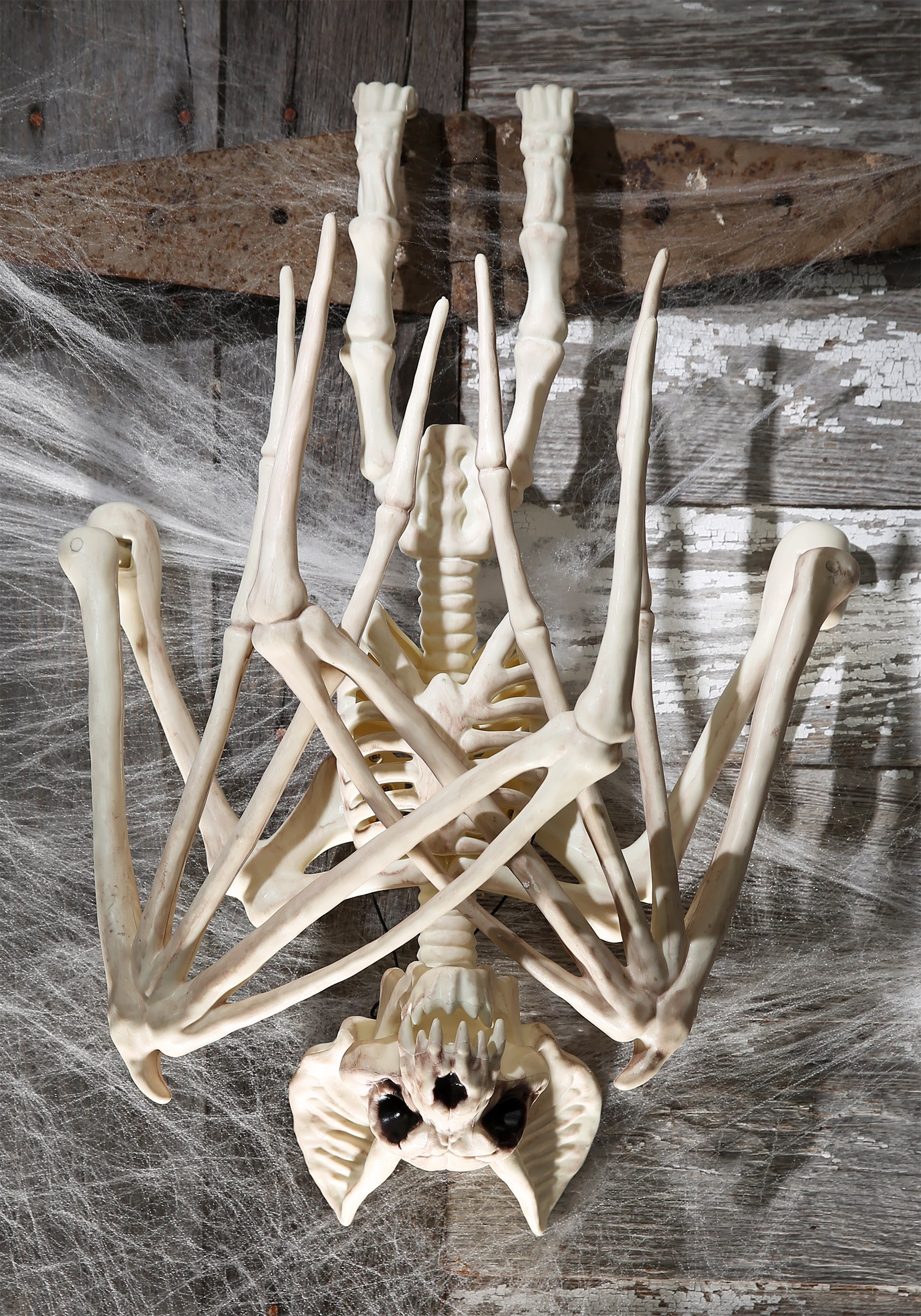 36” Nocturnal Bat Skeleton Halloween Decoration