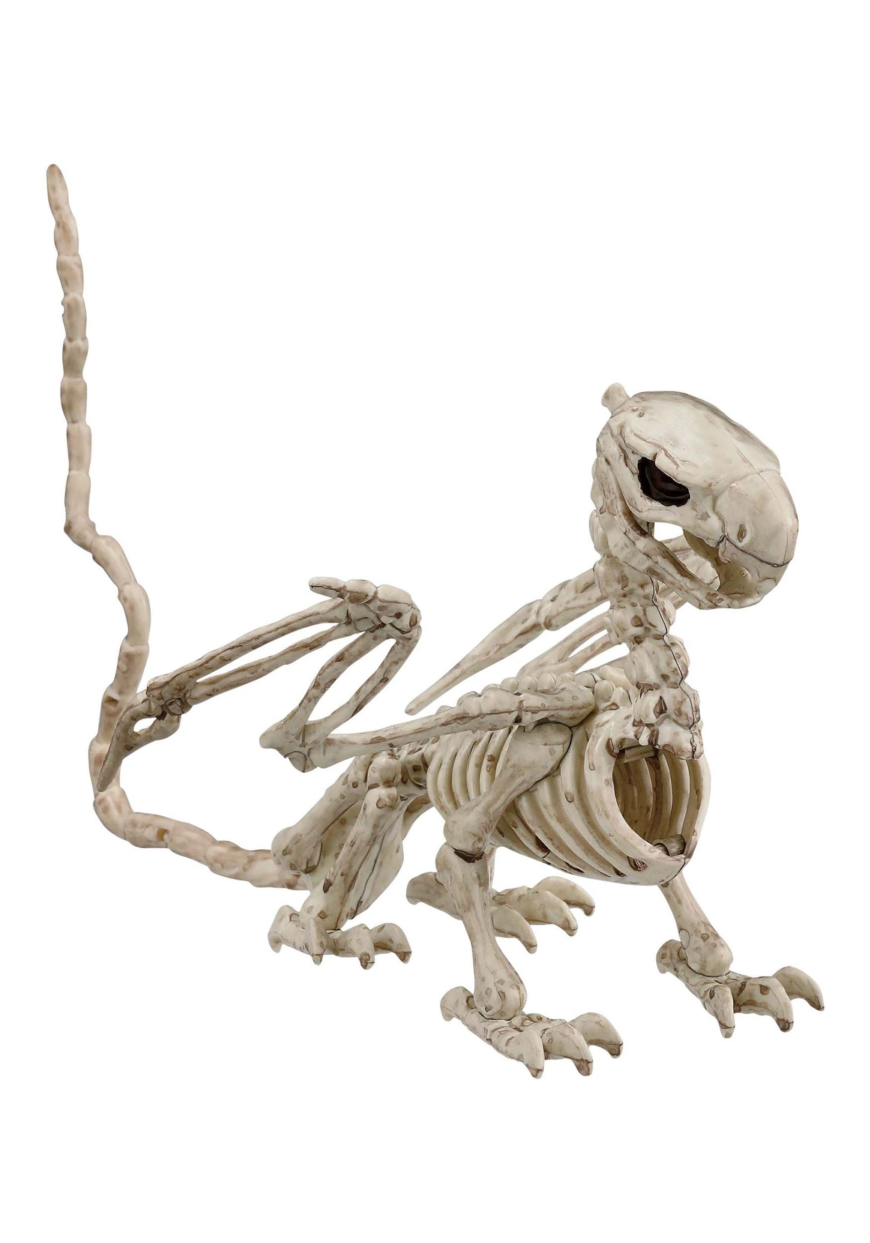 5.5 Inch Griffin Skeleton Decoration