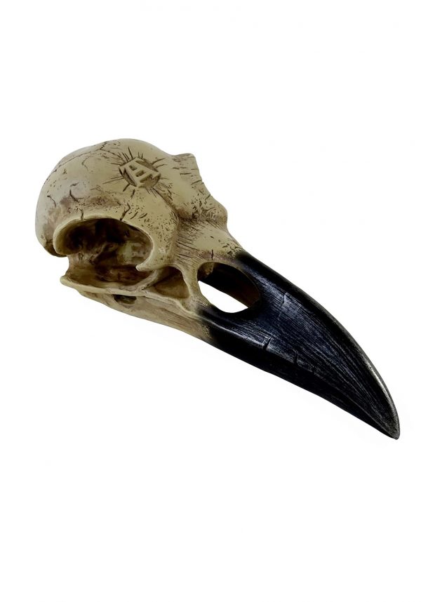 6 Inch Corvus Alchemica Skull Prop
