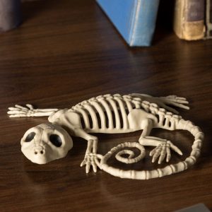 7" Gecko Skeleton Prop Halloween Decoration