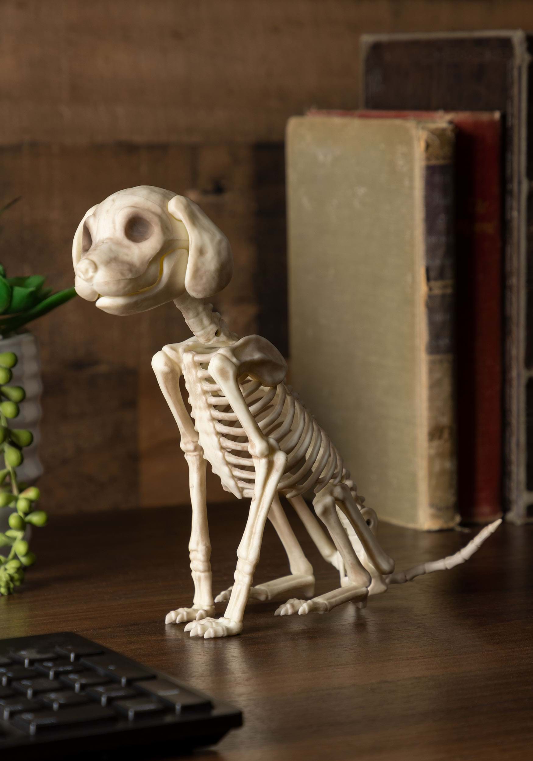 7.5 Inch Sitting Puppy Skeleton Decoration