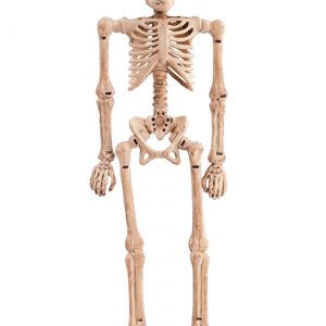 8" Bendable Skeleton Halloween Decoration