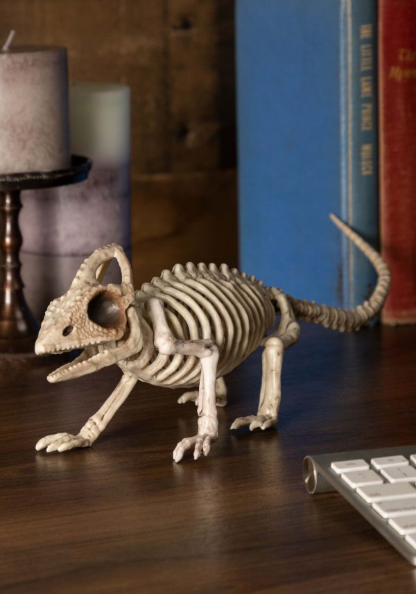 8" Lizard Skeleton Prop