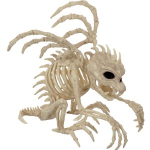 9" Gargoyle Skeleton