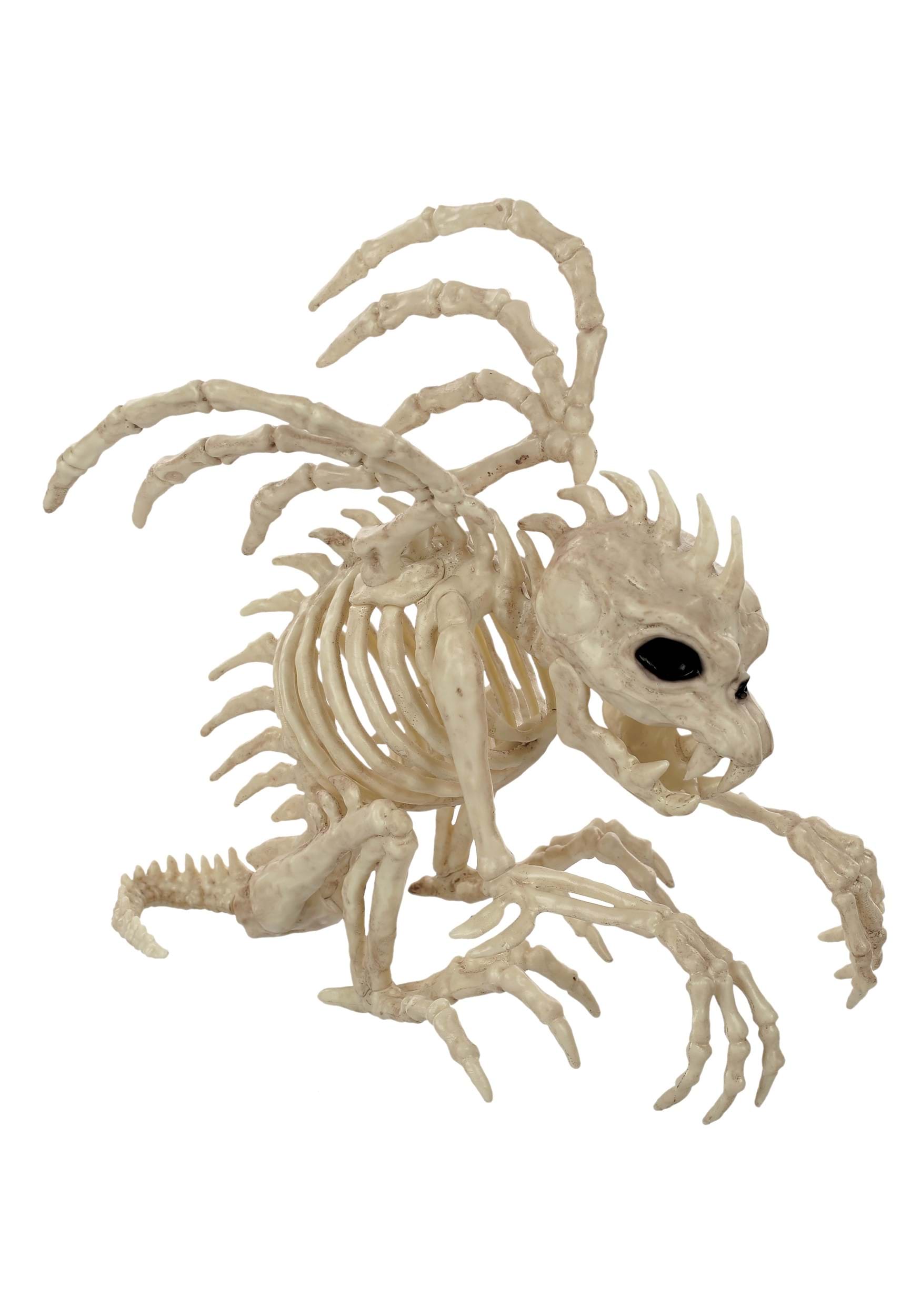 9″ Gargoyle Skeleton