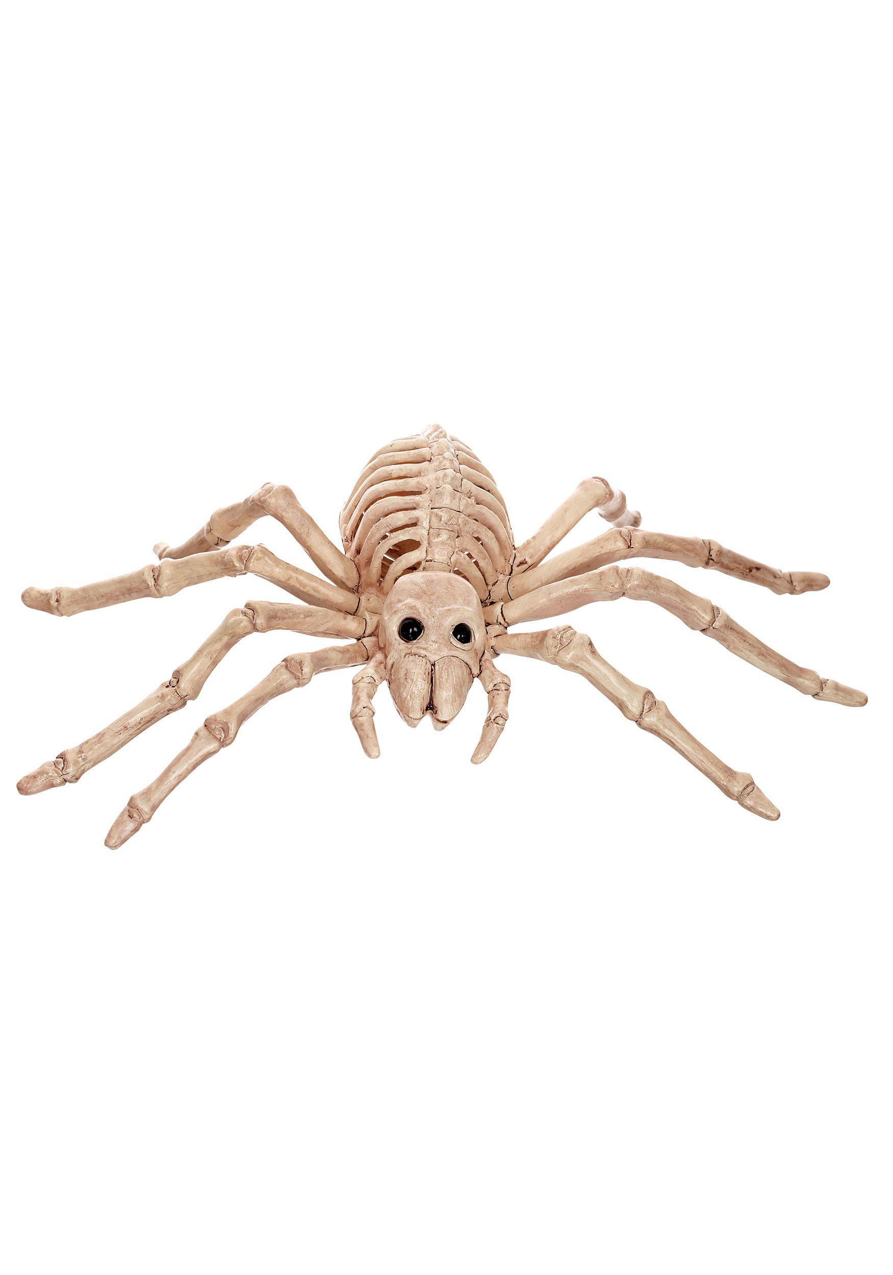 9″ Mini Skeleton Spider Prop Halloween Decoration