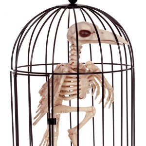 9.5" Skeleton Raven in Cage Prop