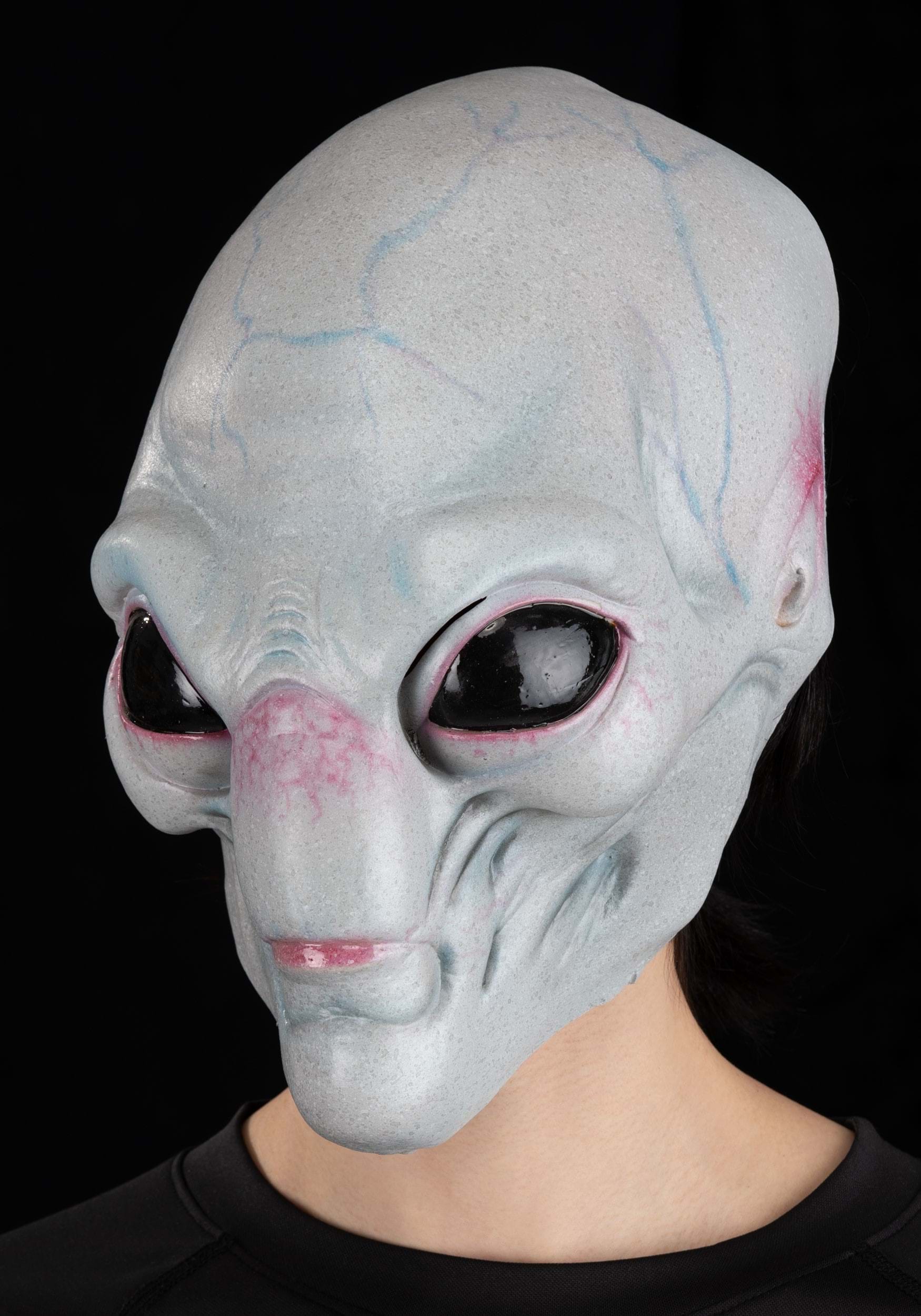 Adult Alien Visitor Mask