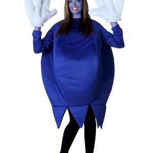 Adult Blueberry Costume