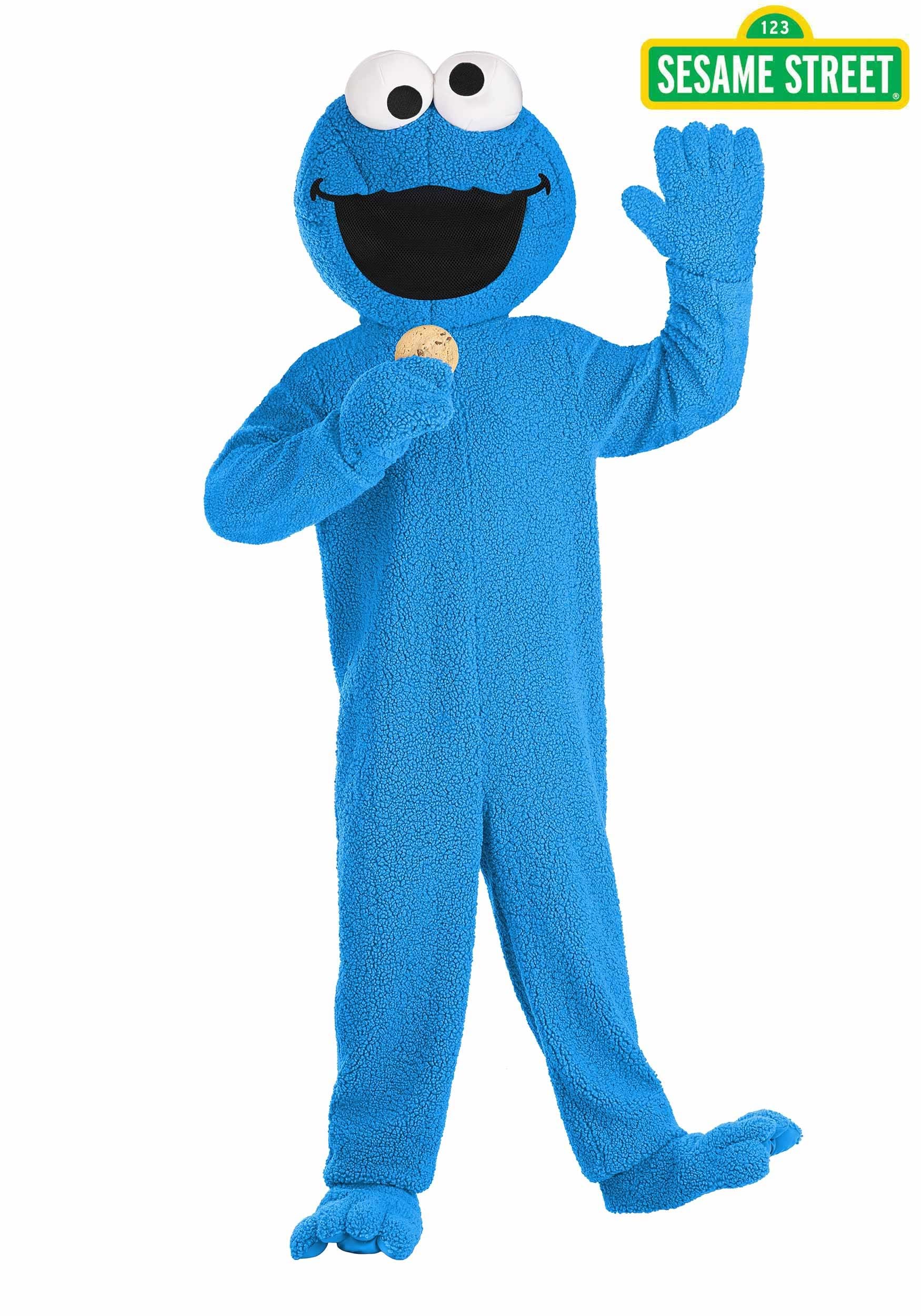 Adult Cookie Monster Mascot Costume