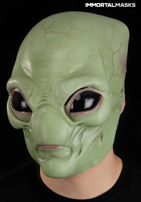 Adult Green Visitor Mask