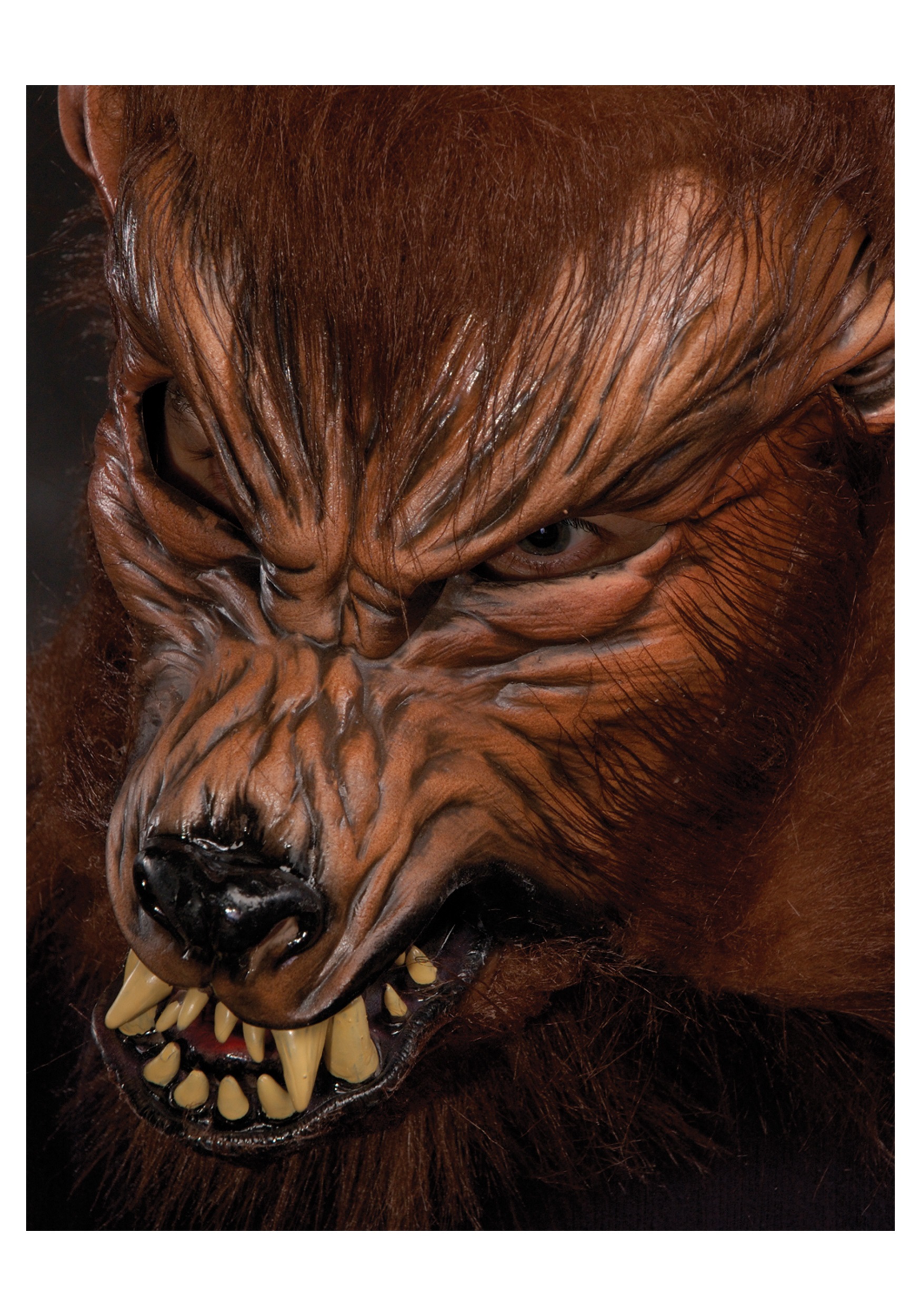 Adult Howl O Ween Werewolf Mask