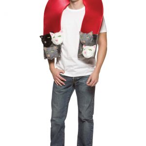 Adult Kitty Magnet Costume