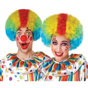 Adult Multicolor Clown Wig