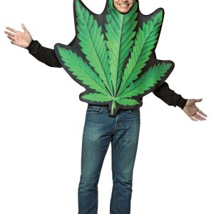 Adult Pot Leaf Costume