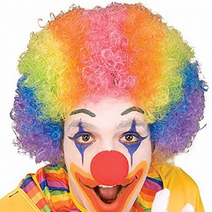 Adult Rainbow Clown Wig