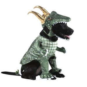Alligator Variant Loki Pet Costume
