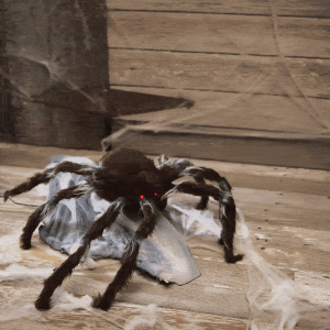 Animated Black Jumping Spider Prop