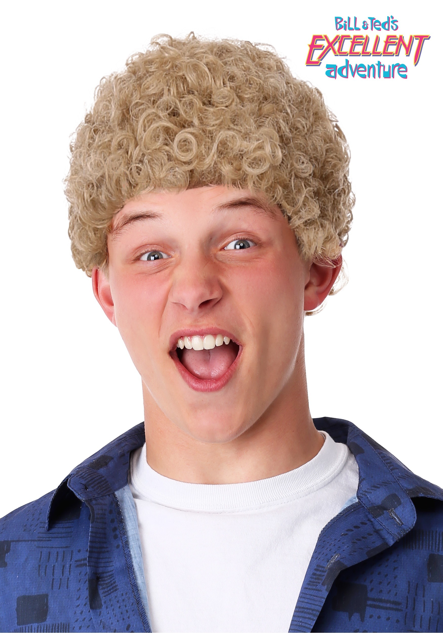 Bill & Ted’s Excellent Adventure Adult Bill Wig