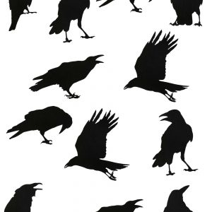 Black Crow Stickers
