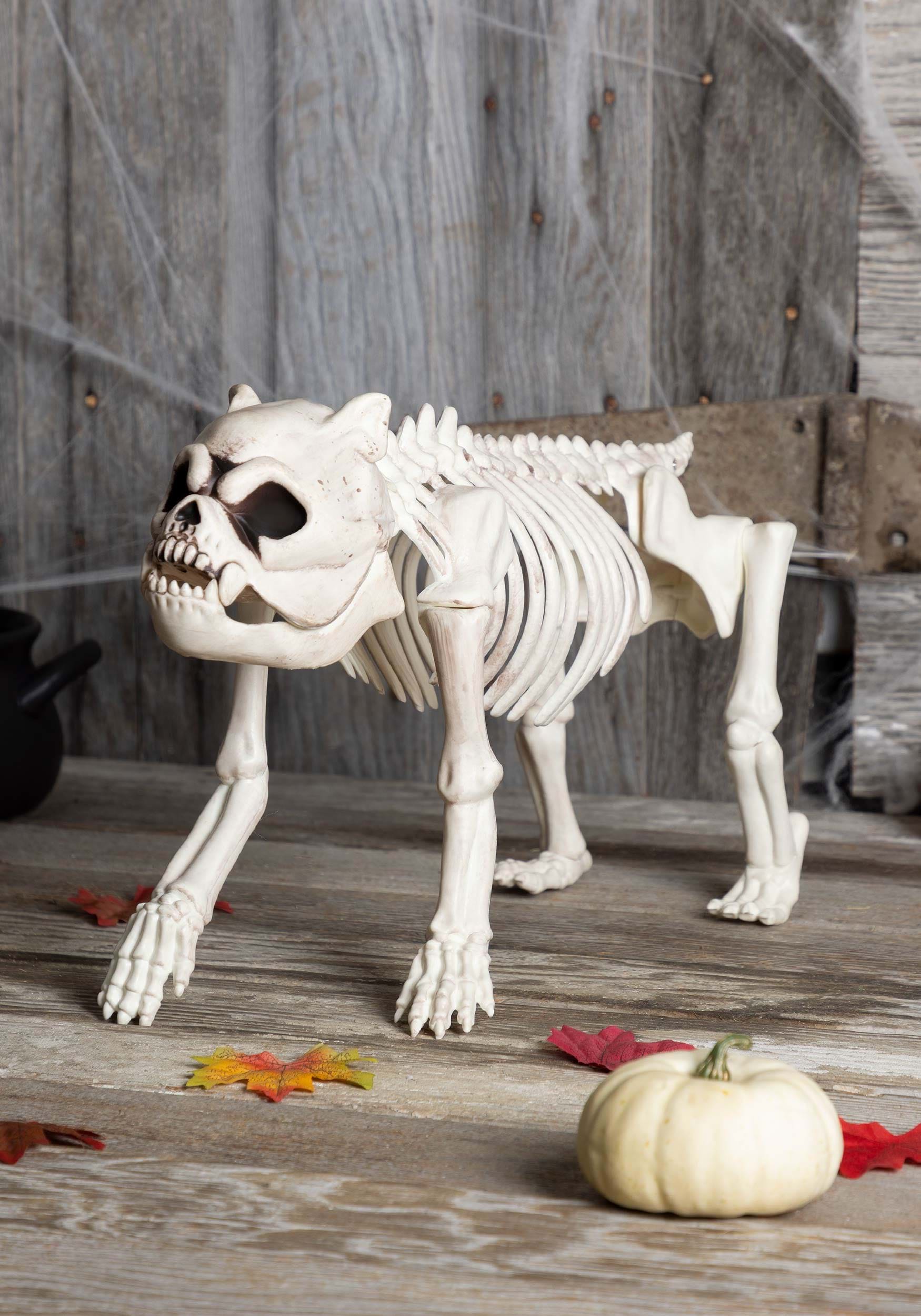 Bones the Hungry Hound Skeleton Dog Halloween Decoration