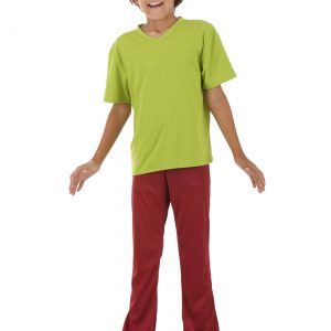 Boy's Scooby Doo Shaggy Costume