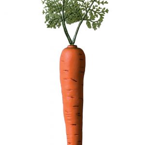 Bunny Carrot Prop Accessory