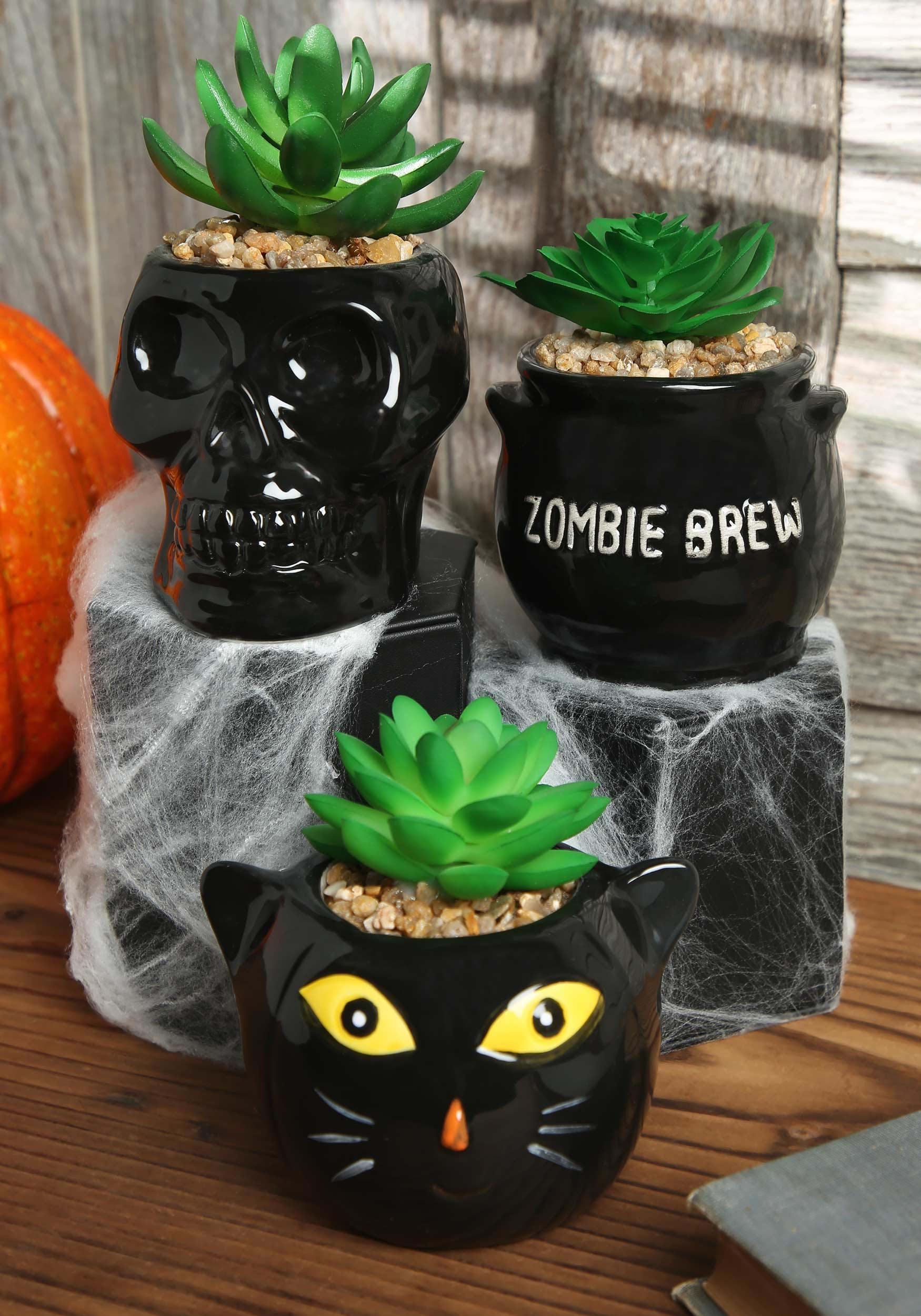 Cauldron, Cat & Skeleton Succulent Decorative Planter Set
