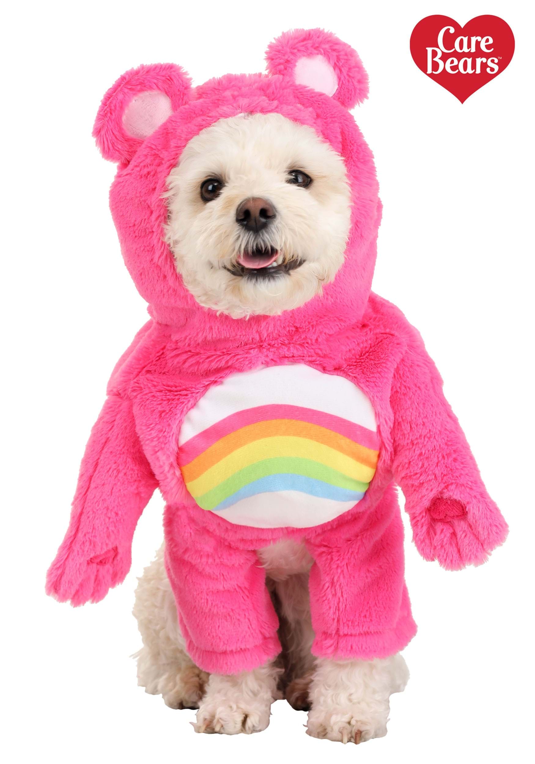 Cheer Bear Care Bears Dog Costume