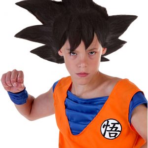 Child Goku Wig