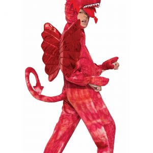 Child Red Dragon Costume