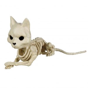 Cute Skeleton Cat