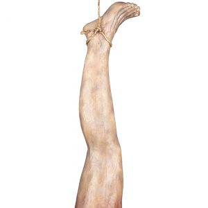 Deluxe Full Sized Severed Leg Prop