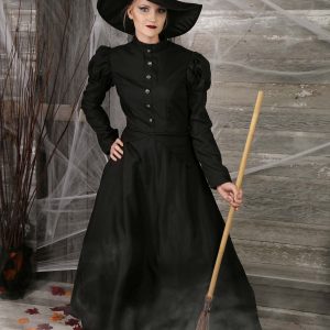 Deluxe Wicked Witch Costume